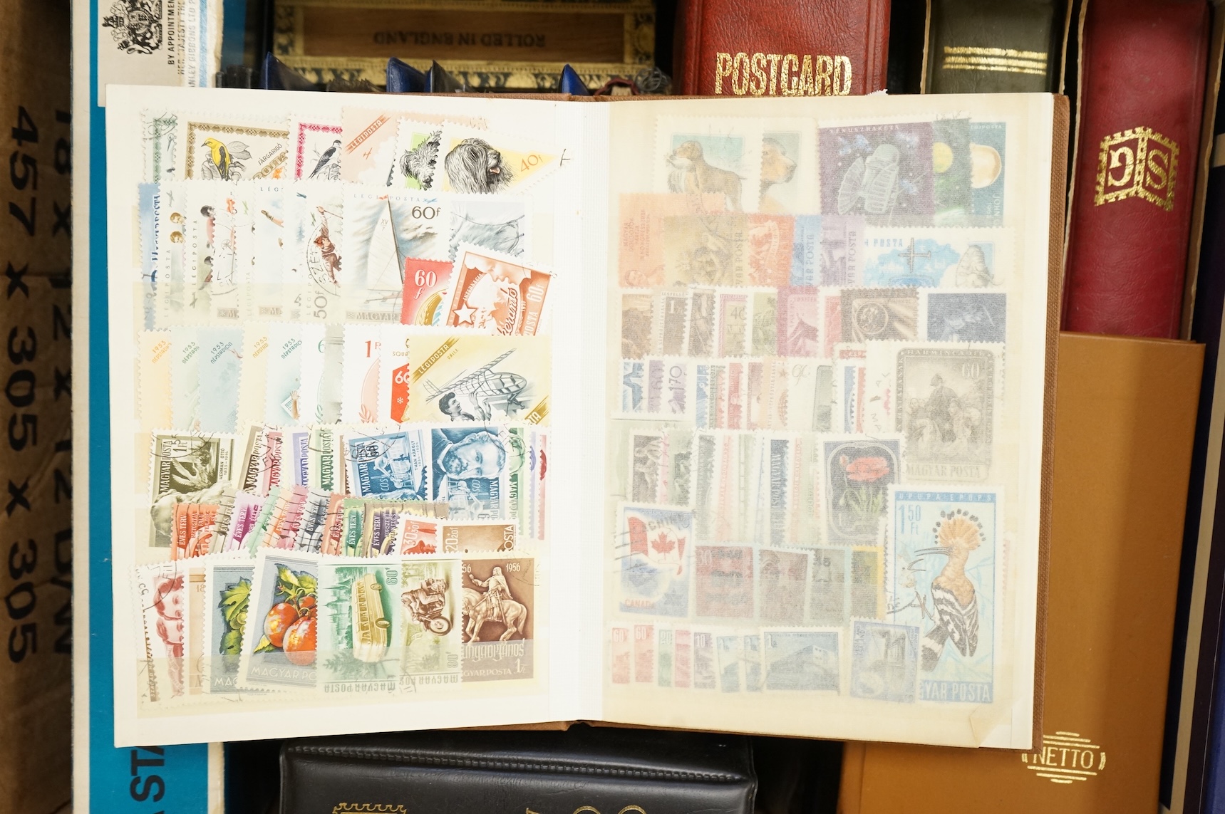 A collection of various stamps, mostly in albums